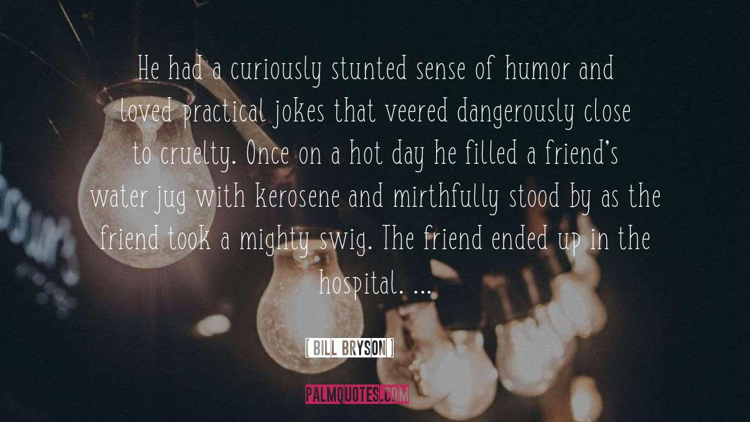 The Friend quotes by Bill Bryson