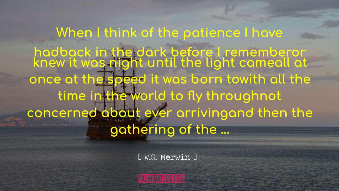 The Gathering quotes by W.S. Merwin