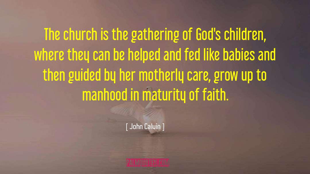 The Gathering quotes by John Calvin