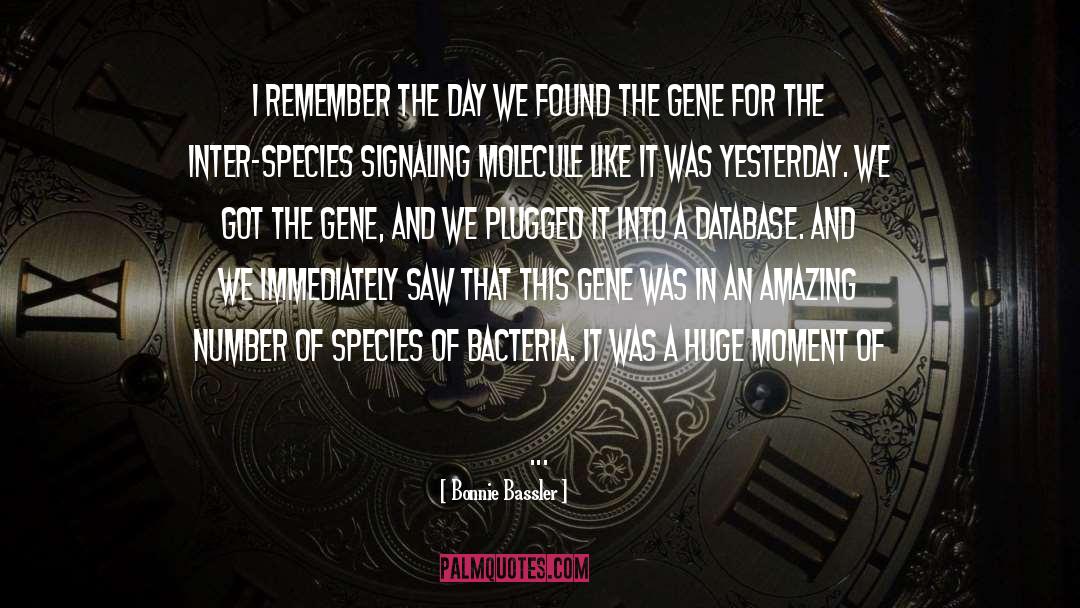 The Gene quotes by Bonnie Bassler