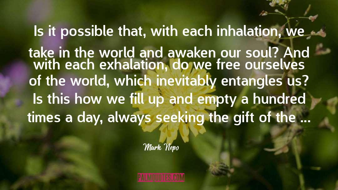 The Gift quotes by Mark Nepo