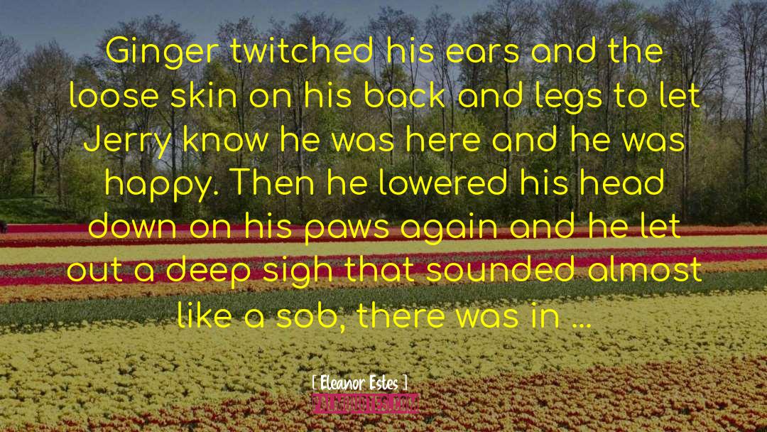 The Ginger Man quotes by Eleanor Estes