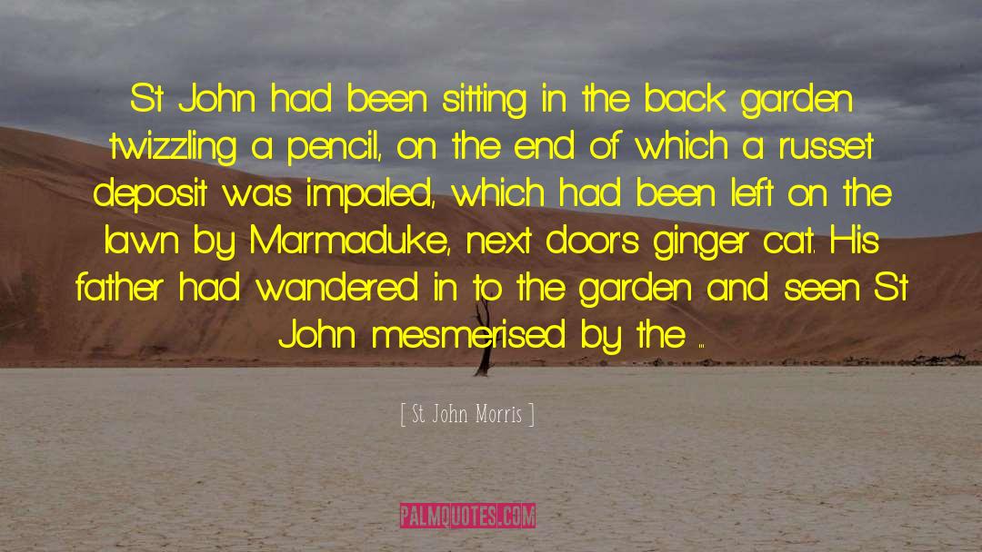 The Ginger Man quotes by St John Morris