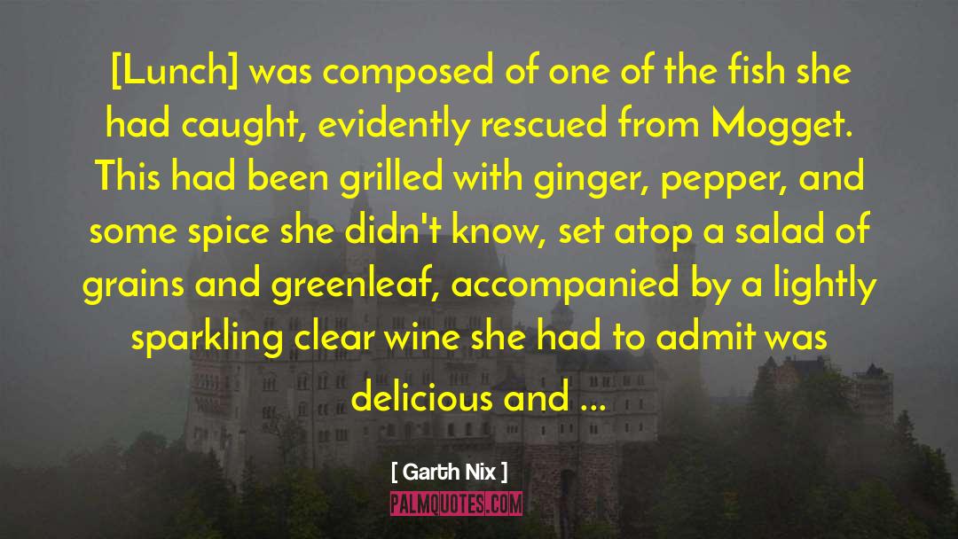 The Ginger Man quotes by Garth Nix