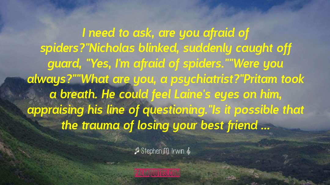 The Girl In The Spiders Web quotes by Stephen M. Irwin