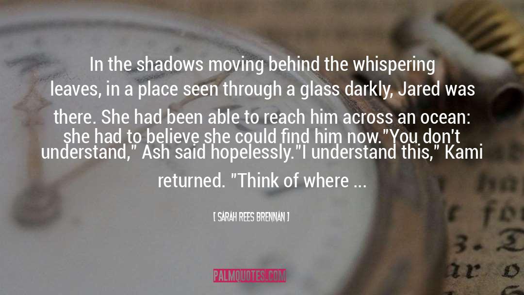 The Glass Arrow quotes by Sarah Rees Brennan