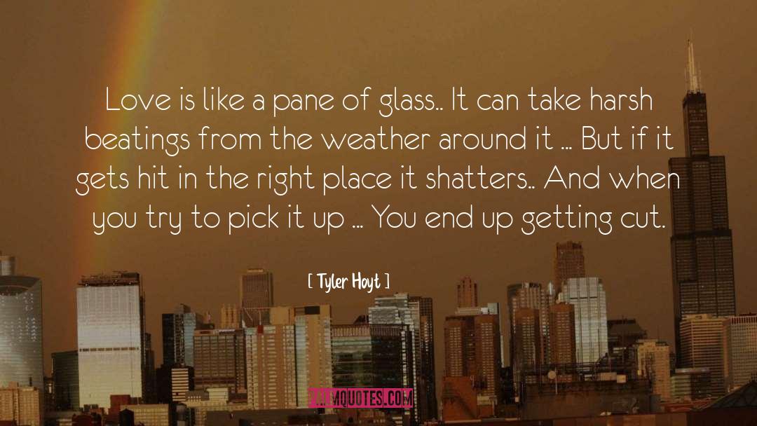 The Glass Cut Bowl quotes by Tyler Hoyt