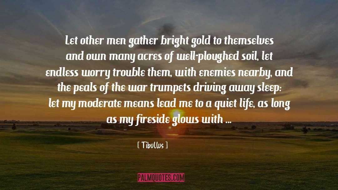 The Glass Of Lead And Gold quotes by Tibullus