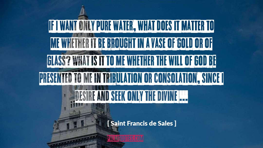 The Glass Sentence quotes by Saint Francis De Sales