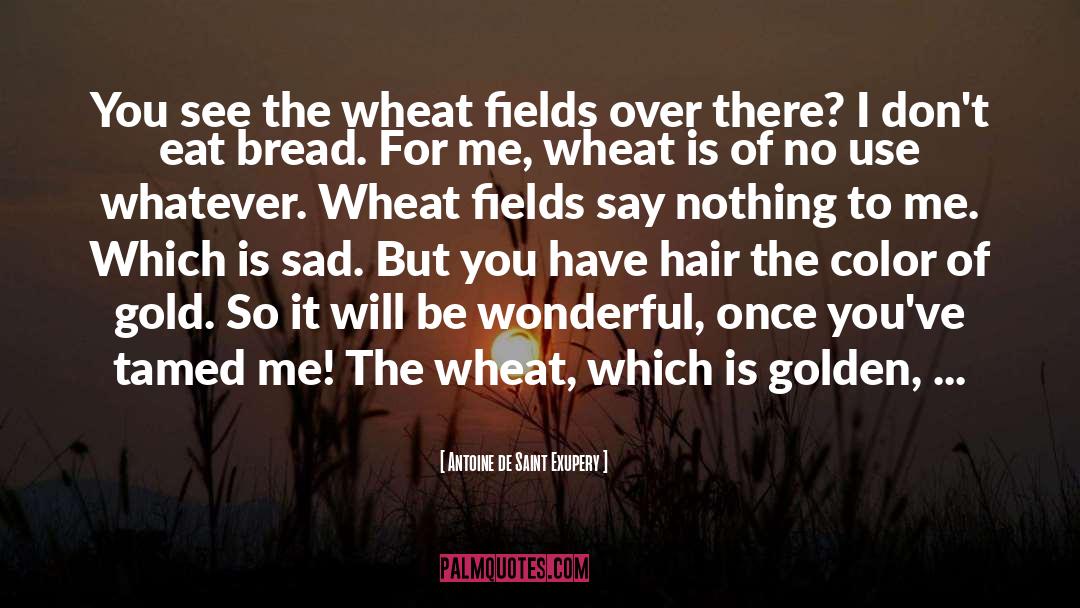 The Golden Fleece quotes by Antoine De Saint Exupery