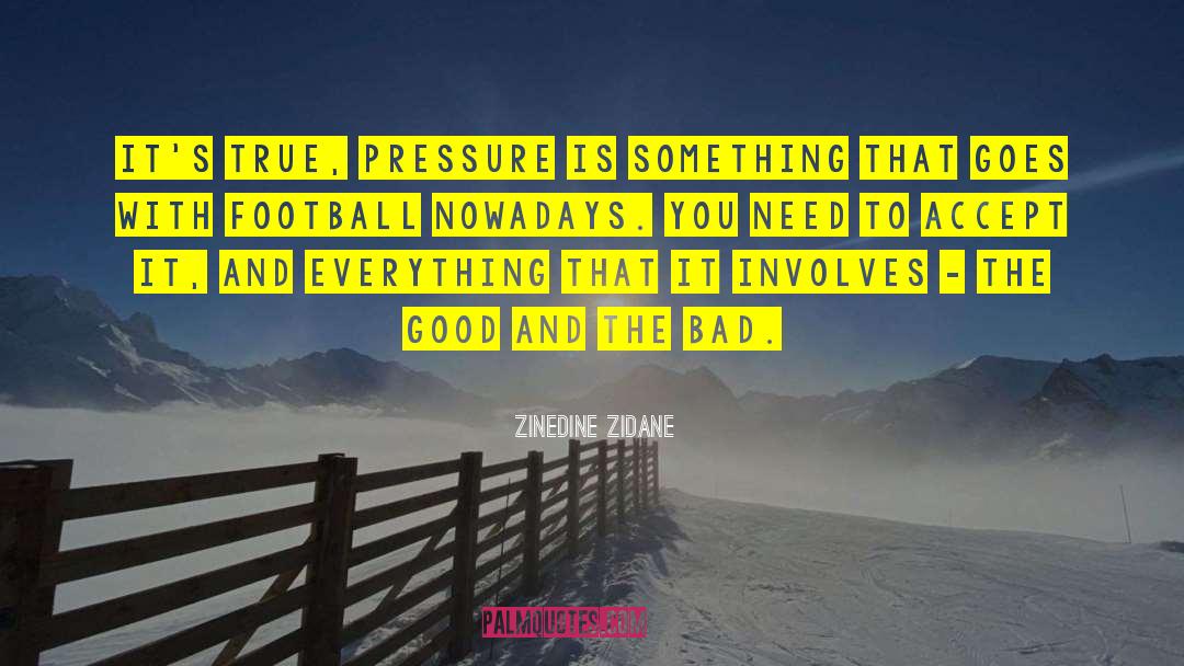 The Good And The Bad quotes by Zinedine Zidane