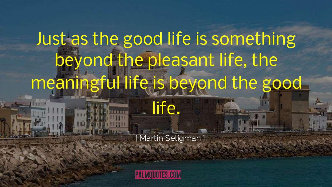 The Good Life quotes by Martin Seligman