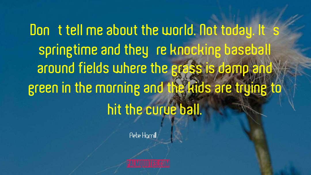 The Grass Is Greener quotes by Pete Hamill