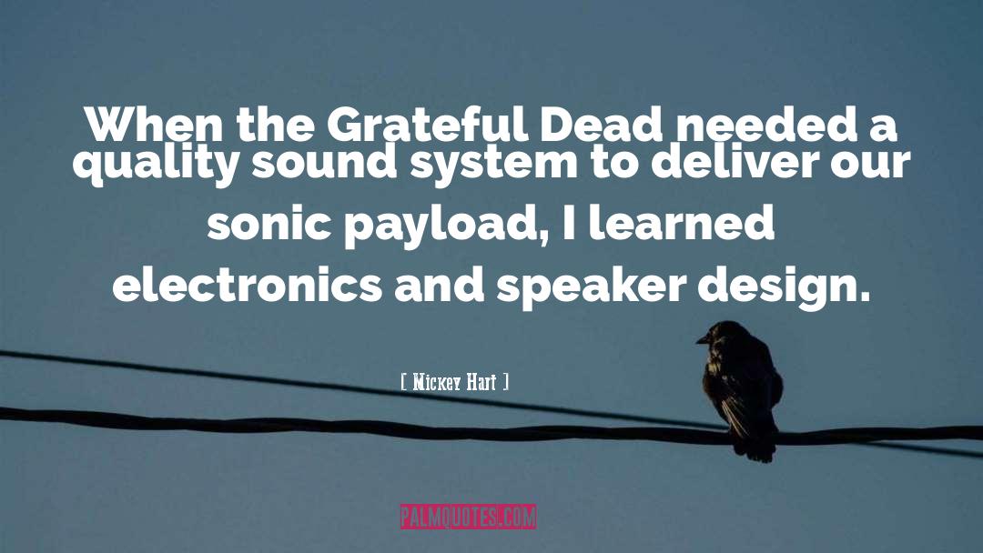 The Grateful Dead quotes by Mickey Hart