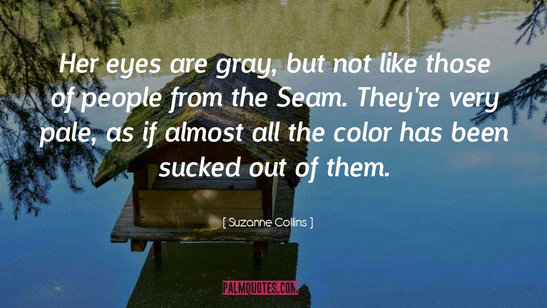 The Gray Man quotes by Suzanne Collins