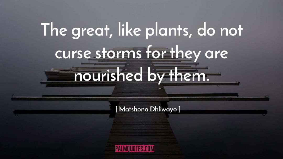 The Great Phrehaps quotes by Matshona Dhliwayo