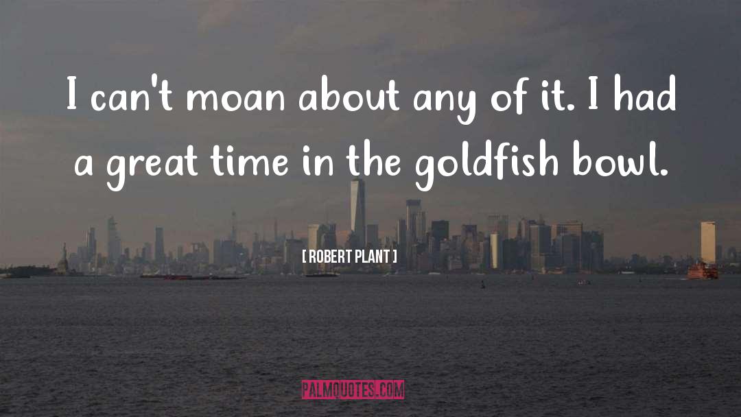 The Great Stagnation quotes by Robert Plant