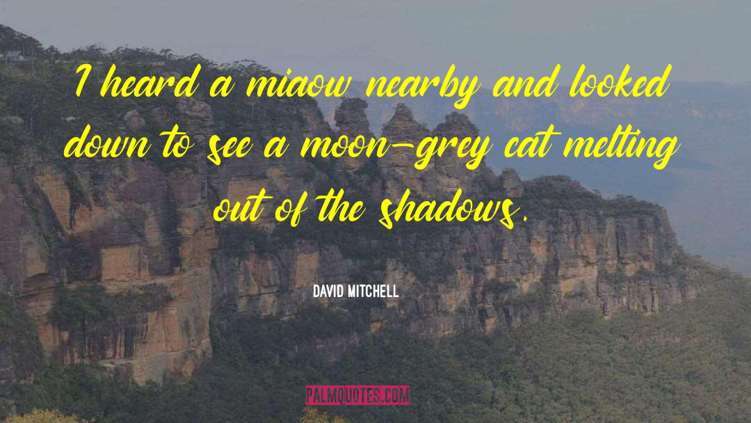 The Grey King quotes by David Mitchell