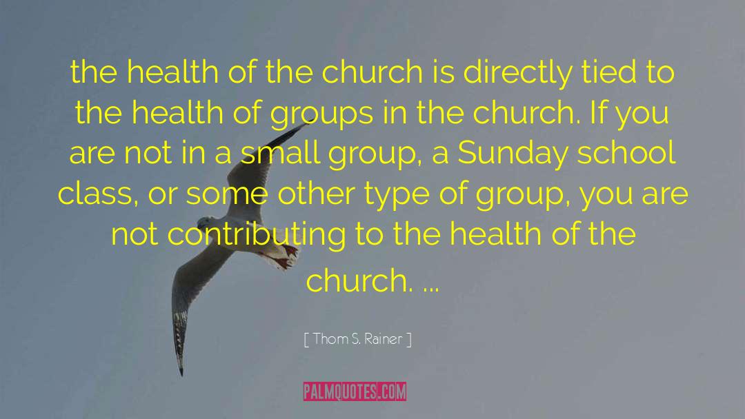 The Groups S Perfect Description quotes by Thom S. Rainer