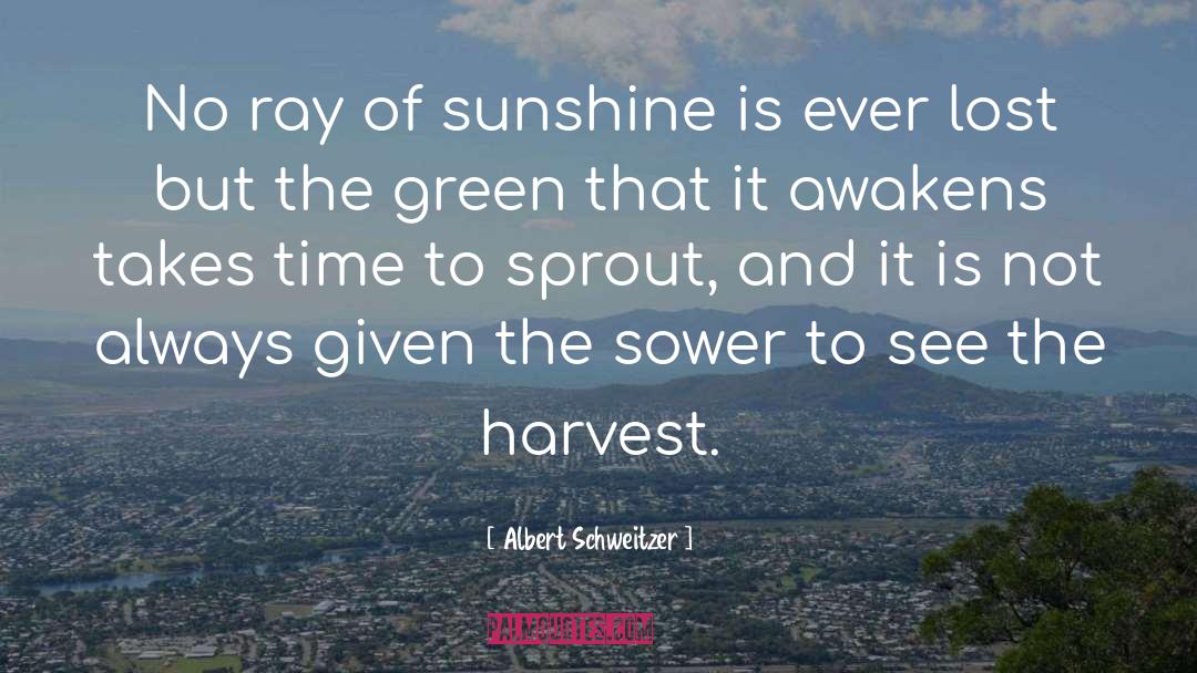 The Harvest quotes by Albert Schweitzer