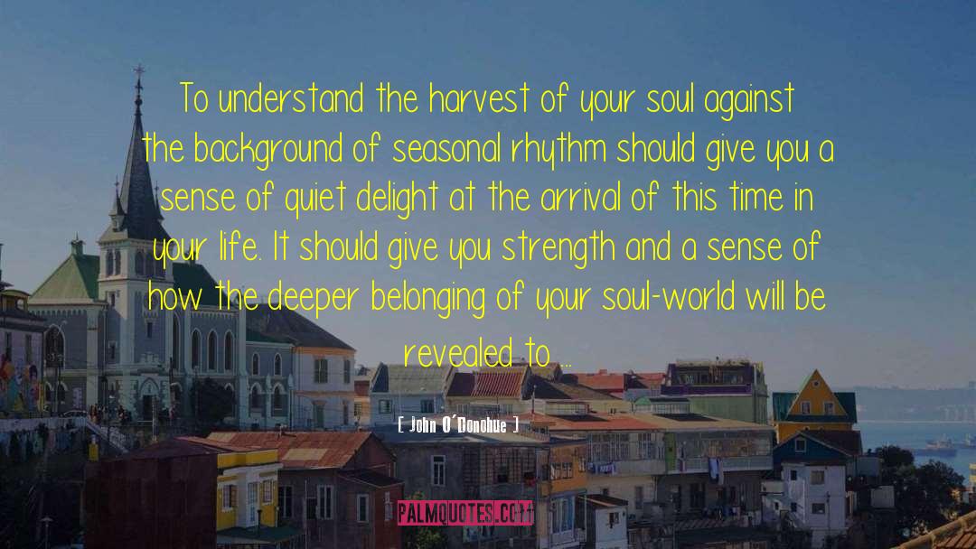 The Harvest quotes by John O'Donohue