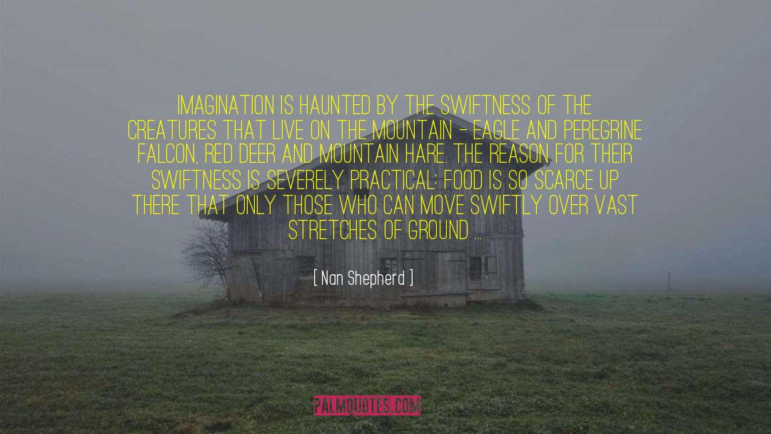The Haunted Mansion quotes by Nan Shepherd