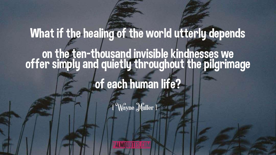 The Healing quotes by Wayne Muller