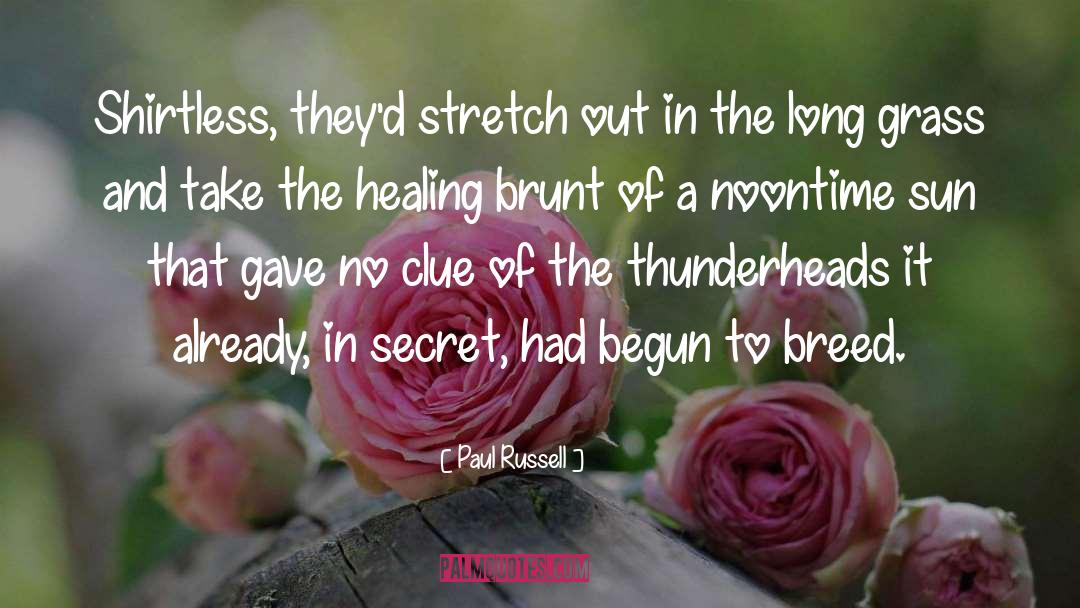 The Healing quotes by Paul Russell