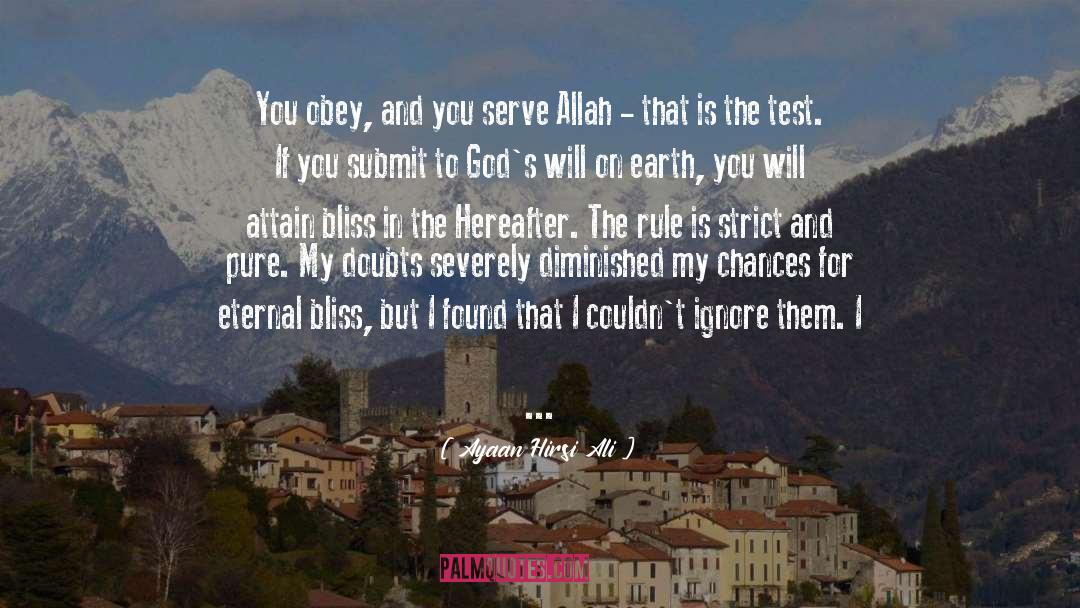 The Hereafter quotes by Ayaan Hirsi Ali