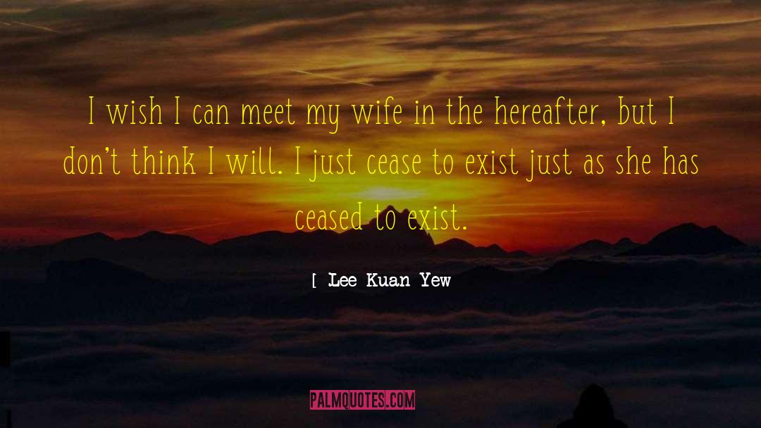 The Hereafter quotes by Lee Kuan Yew