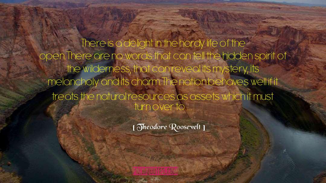 The Hidden Library quotes by Theodore Roosevelt