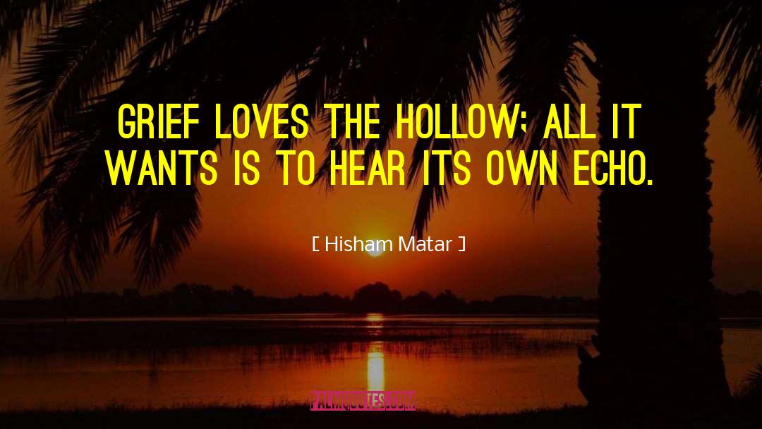 The Hollow quotes by Hisham Matar