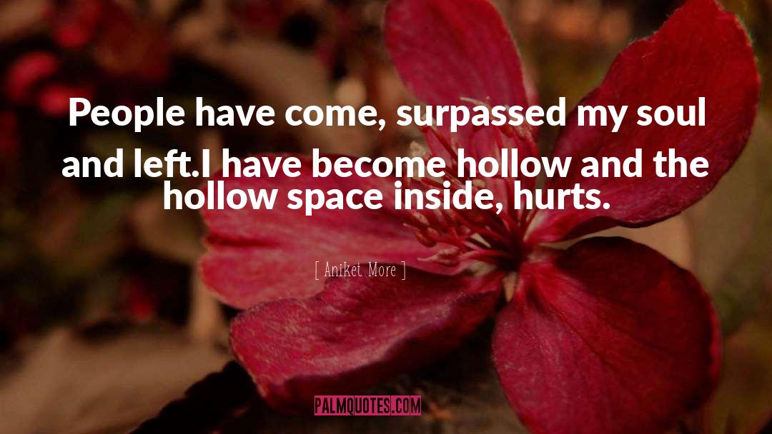 The Hollow quotes by Aniket More