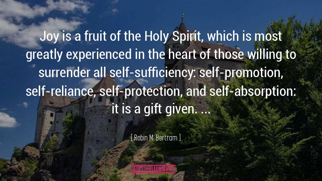The Holy Spirit quotes by Robin M. Bertram