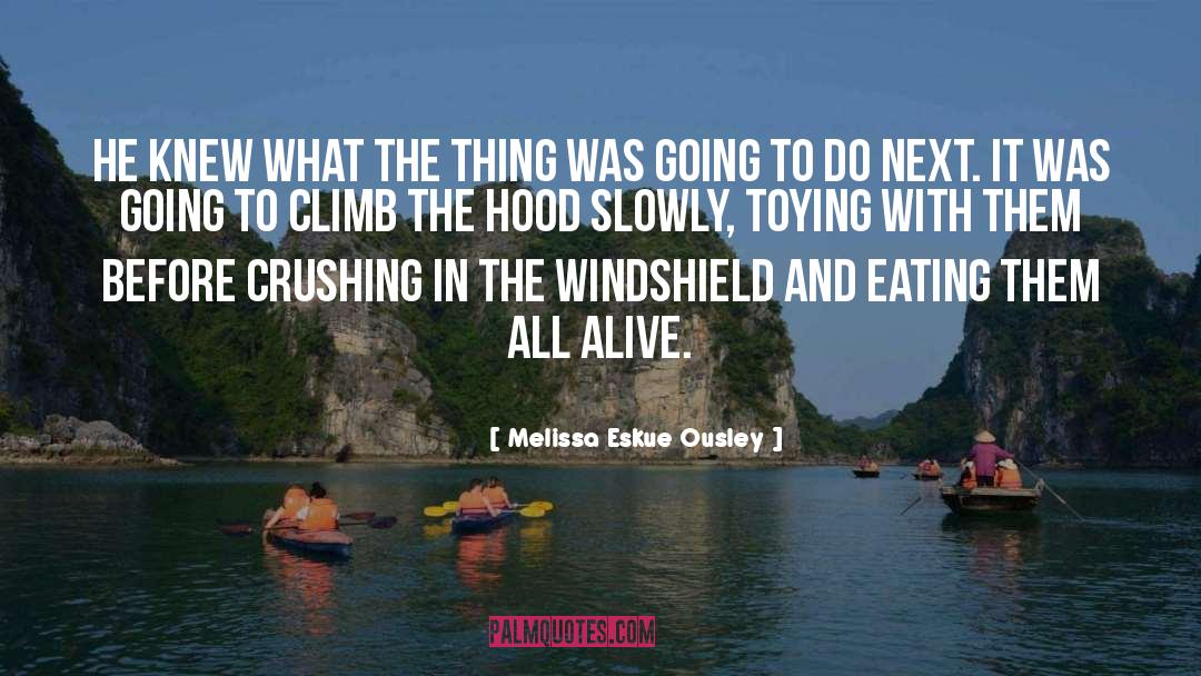 The Hood quotes by Melissa Eskue Ousley