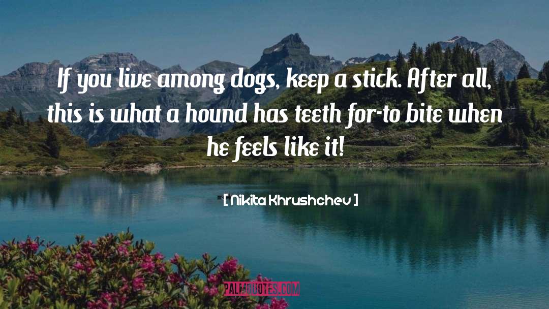 The Hound quotes by Nikita Khrushchev