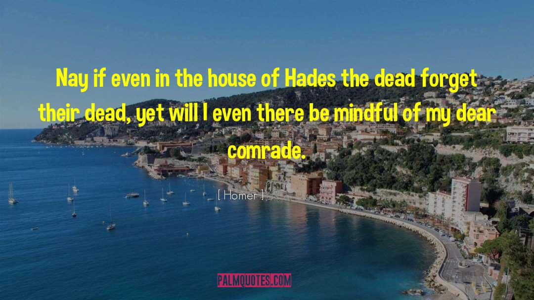 The House Of Hades quotes by Homer