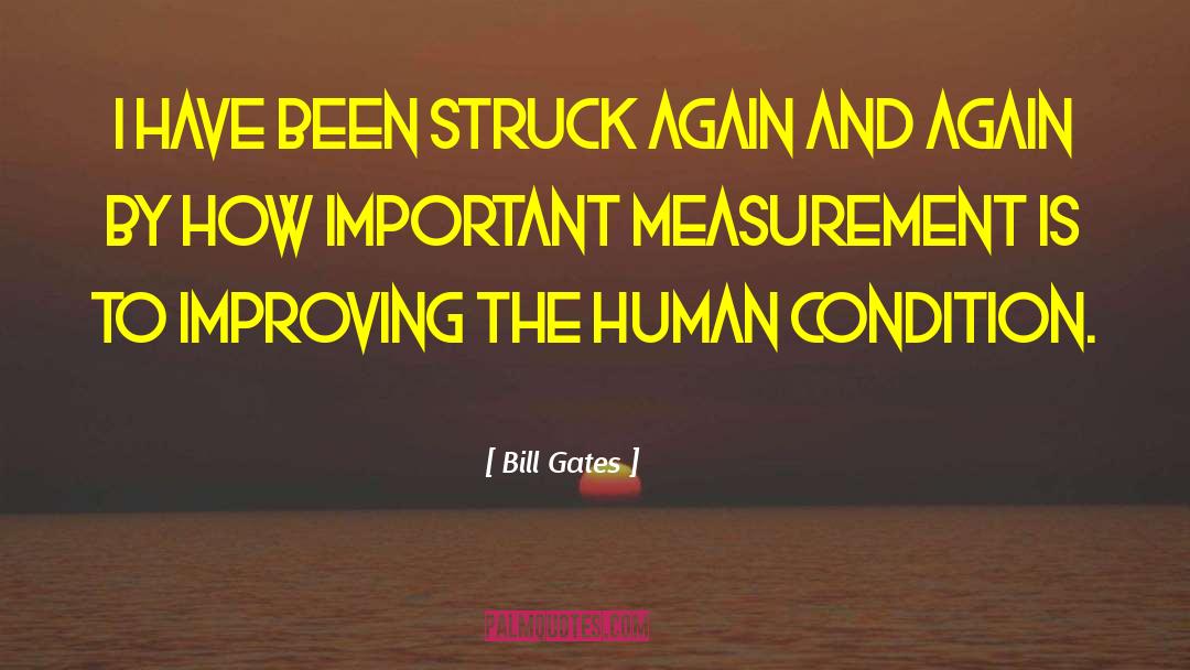 The Human Condition quotes by Bill Gates