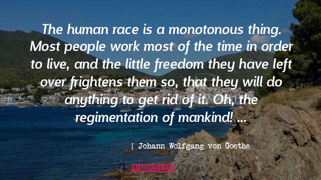 The Human Race quotes by Johann Wolfgang Von Goethe