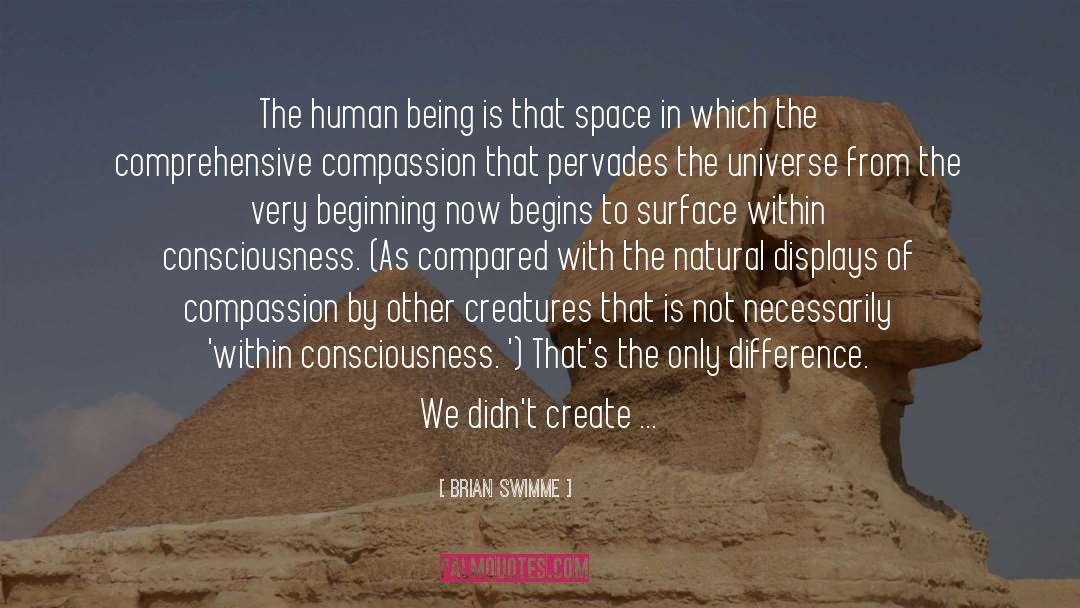 The Human Species quotes by Brian Swimme