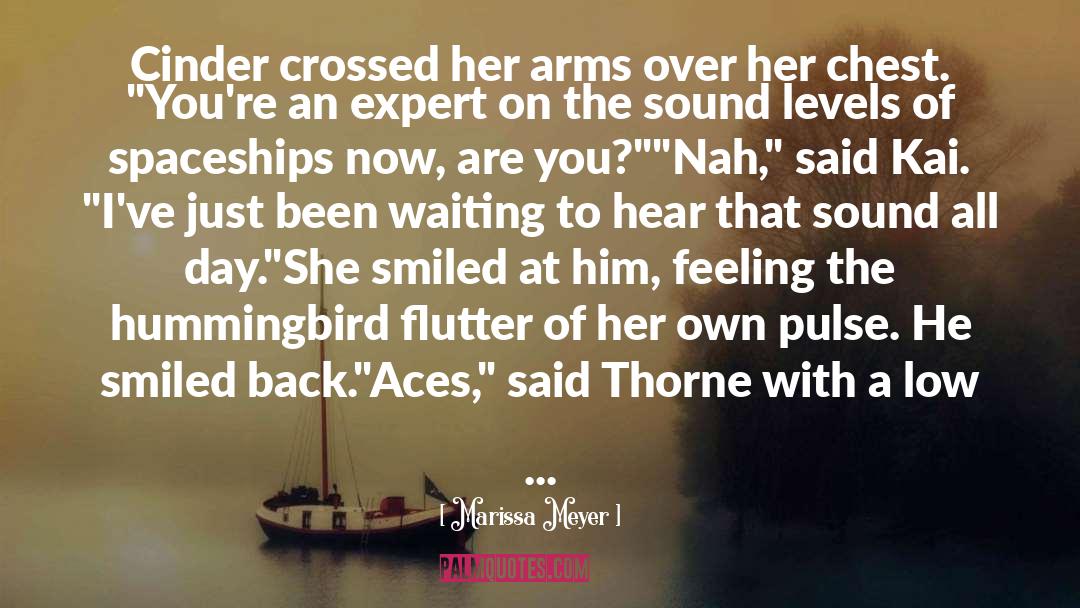 The Hummingbird quotes by Marissa Meyer