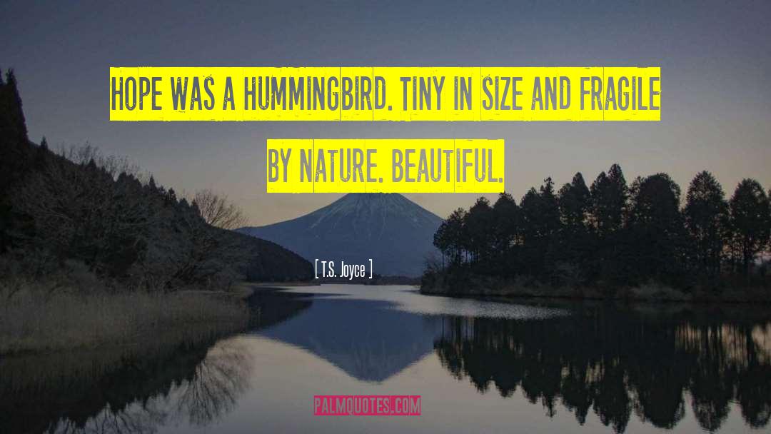 The Hummingbird quotes by T.S. Joyce