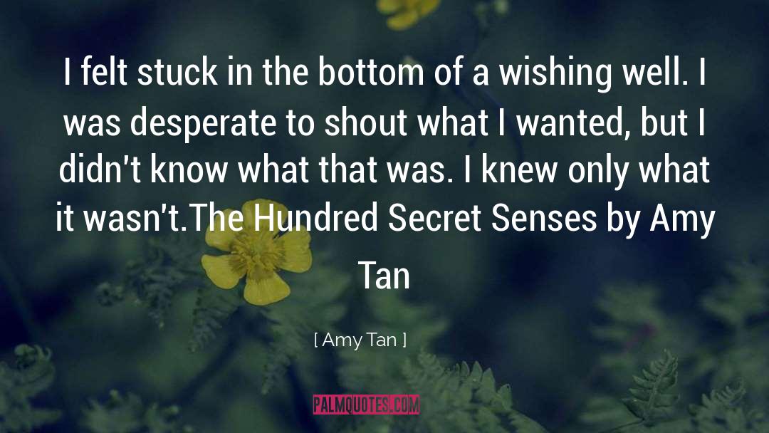 The Hundred Secret Senses quotes by Amy Tan