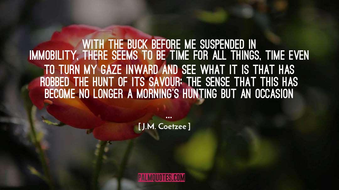 The Hunt quotes by J.M. Coetzee