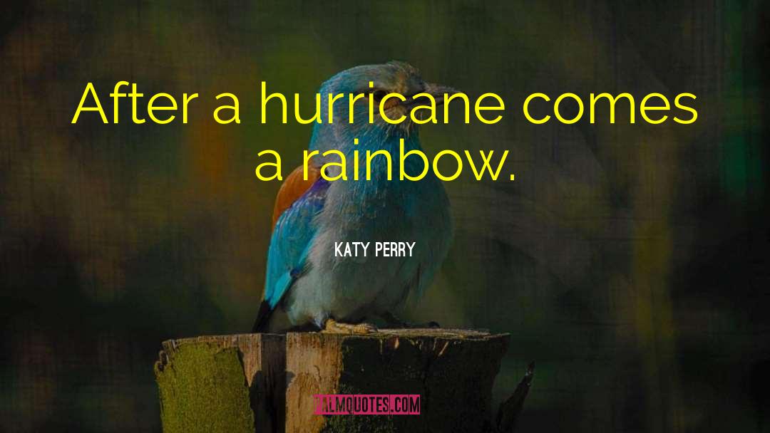 The Hurricane quotes by Katy Perry