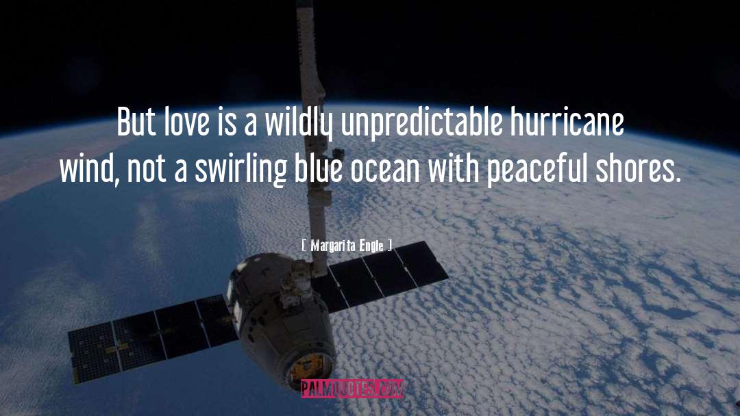 The Hurricane quotes by Margarita Engle