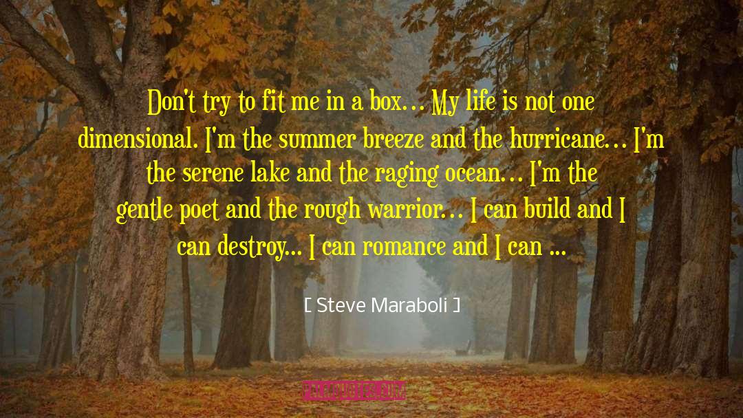 The Hurricane quotes by Steve Maraboli