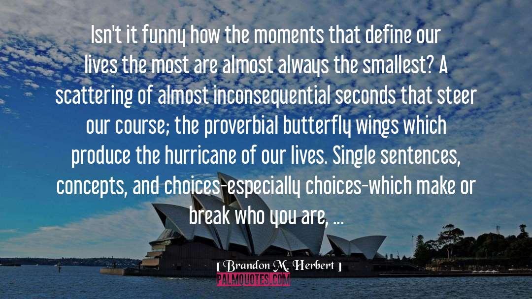 The Hurricane quotes by Brandon M. Herbert