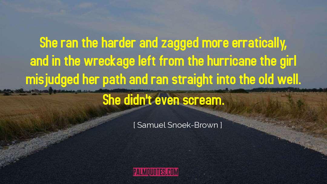 The Hurricane quotes by Samuel Snoek-Brown