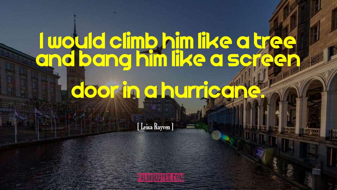 The Hurricane quotes by Leisa Rayven
